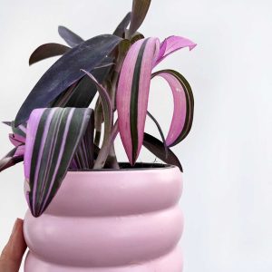 Vaso in ceramica /Milla