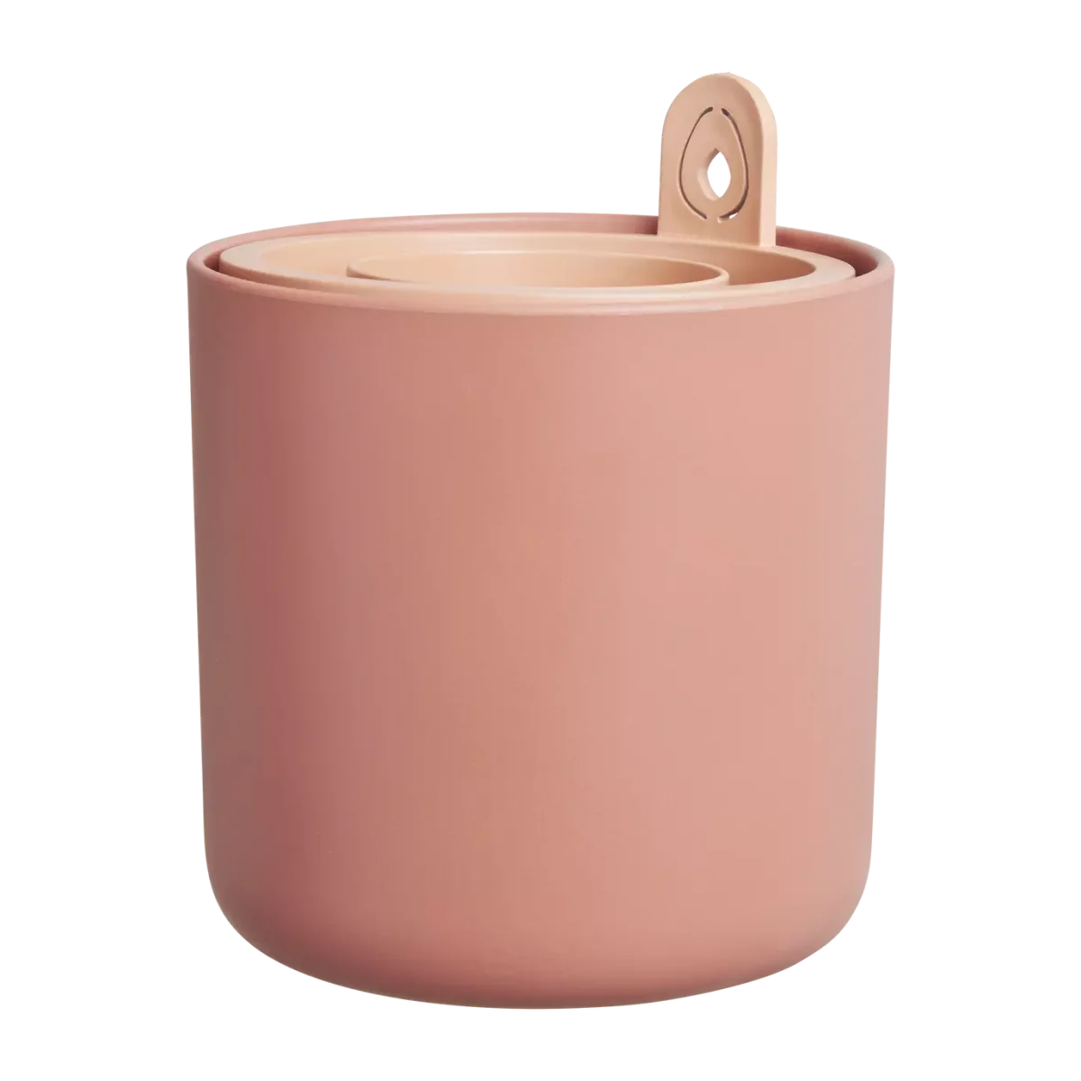 Amazing Avocado Pot Mou Terra