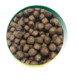 Mangus del Sole – Dog Grain Free Puppy Salmone Eglefino Patata Dolce. 12kg - immagine 3